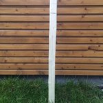 Bogenbauch unterer Wa und Mitte