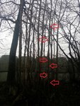 20170103_1001287.jpg (371.29 KiB) 20246 mal betrachtet Das ist das gute Stück