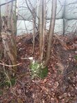 20170103_111358.jpg (516.33 KiB) 20246 mal betrachtet Und ab