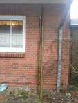 20170103_123858.jpg (293.67 KiB) 20246 mal betrachtet Noch sehr lang. Der rechte isses
