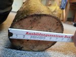20170103_124349.jpg (331.59 KiB) 20246 mal betrachtet Dickes Ende