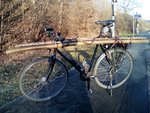 Holztransport: zwei Hasel a ca 8 cm und zwei Kirsch Triebe am dicken Ende 4cm