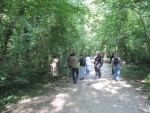 Die Meute im Wald...oder Waldkindergarten???? scherz