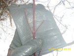 rote-antenne.JPG