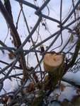 Image-1778201030.jpg