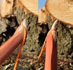 Nocken<br />unten - oben