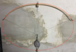 100301 Endtiller Ulme.png