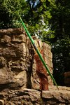 DSC00987.jpg