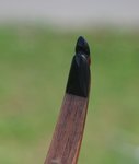 Horn-Tips