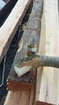 20180422_103441.jpg