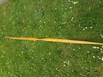 20180520_164716 - Kopie.jpg