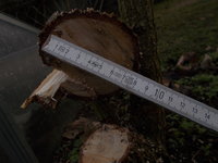 DSCN0460.JPG