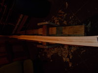 DSCN0480.JPG