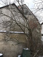 nach der Entnahme