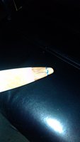 IMG_20190908_132807.jpg