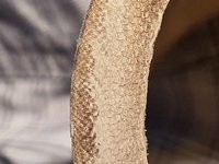 20200707_204409.jpg