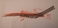 IMG_20200916_194615.jpg