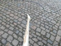 leicht reflex