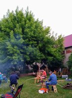 IMG_20210702_213713306.jpg
