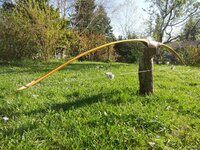 RD Osage mit Bambusbacking
