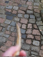 Fast kein Set