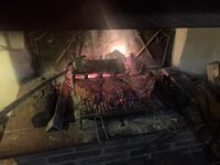 IMG_8385.JPG
