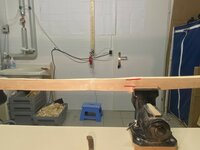 dicker Ring zu Ast Kurven.jpg