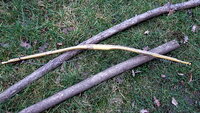 DSCF3086.JPG