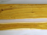 Holzfarbe Perückenstrauch_230205.JPG