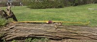 Seitenansicht abgespannt