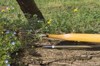 Recurve von oben mit 5/16 Pfeilspitze