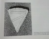 _20230505_095343.JPG