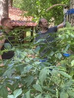 Konzentrierte Blicke von Hieronymus und MrCanister