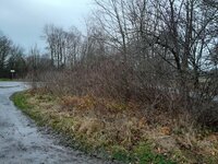 Habitat