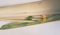 Die gleiche Lücke in der Klebung