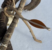IMG_0915.jpeg