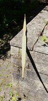 DSC06177.JPG