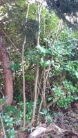 habitat1.jpg
