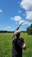 Osage selfbow mit geschätzt 55#@26&quot;, konnte 293 m bringen - damit bin ich sehr zufrieden, aber das muss trotzdem mehr werden