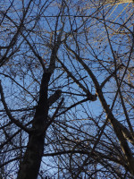 signal-2026-01-04-173308_002.jpeg