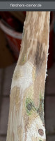 IMG_3518.jpeg