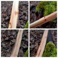Bauchimpressionen
