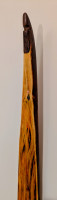PXL_20260215_201758007.MP~2-picsay.jpg