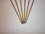 Bamboo_May 12_3.JPG