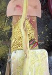 Ein paar &quot;Osage-typische&quot; Farbstellen...