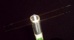 DSC00120.JPG