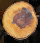 IMGP2183.jpg