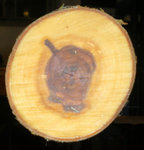 IMGP2188.jpg