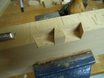 DSCN4781.JPG
