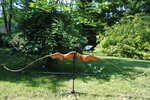 DSC_0039.JPG